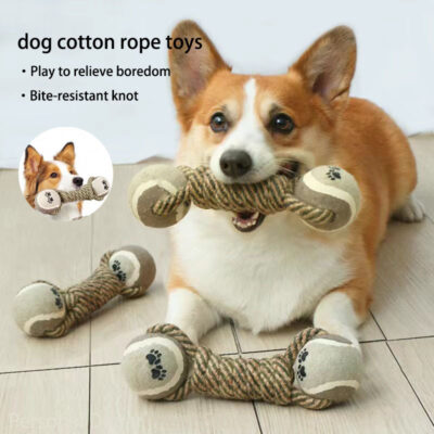 Pet Dog Interactive Cotton Rope Toy