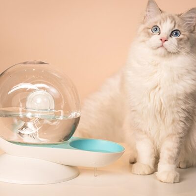 Cat drinking fountain filtering automatic drinking fountain