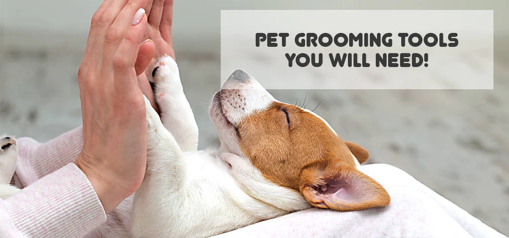 The Ultimate Guide to 2023’s Top Selling Pet Cleaning Tools