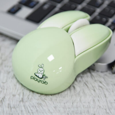 Fashion Rabbit Office Laptop With Mouse